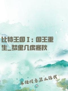比特王国Ⅰ: 国王重生